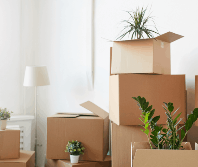 Ankara Evden Eve Nakliyat